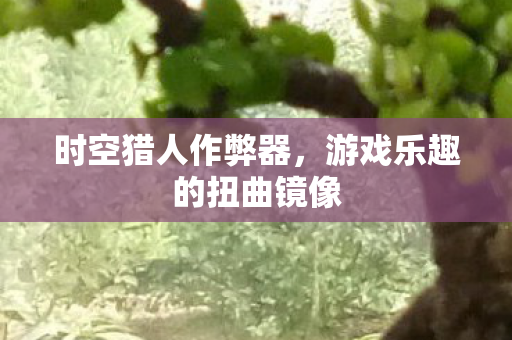 时空猎人作弊器,游戏乐趣的扭曲镜像 时空猎人作弊器,游戏乐趣的扭曲镜像