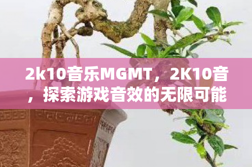 2k10音乐MGMT,2K10音,探索游戏音效的无限可能 2k10音乐MGMT,2K10音,探索游戏音效的无限可能
