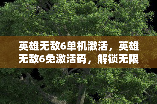 英雄无敌6单机激活，英雄无敌6免激活码，解锁无限可能的正版游戏体验