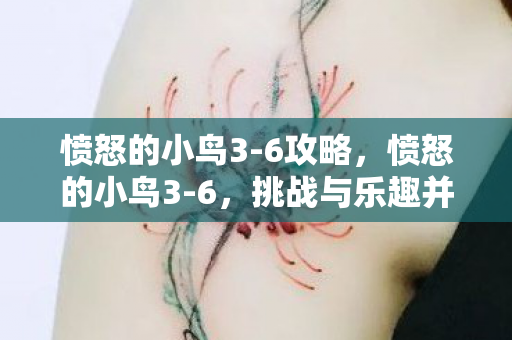 愤怒的小鸟3-6攻略,愤怒的小鸟3-6,挑战与乐趣并存的冒险之旅 愤怒的小鸟3-6攻略,愤怒的小鸟3-6,挑战与乐趣并存的冒险之旅