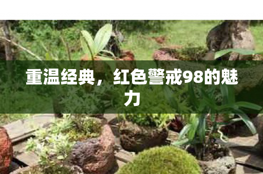 重温经典,红色警戒98的魅力 重温经典,红色警戒98的魅力