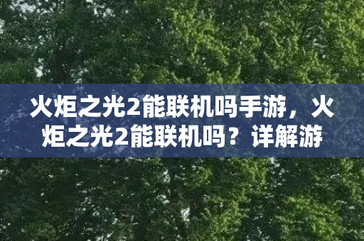 火炬之光2能联机吗手游,火炬之光2能联机吗?详解游戏的多人合作体验 火炬之光2能联机吗手游,火炬之光2能联机吗?详解游戏的多人合作体验