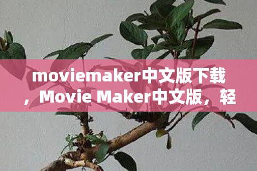moviemaker中文版下载,Movie Maker中文版,轻松编辑,创意无限 moviemaker中文版下载,Movie Maker中文版,轻松编辑,创意无限