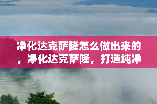 净化达克萨隆怎么做出来的,净化达克萨隆,打造纯净游戏环境的策略与步骤 净化达克萨隆怎么做出来的,净化达克萨隆,打造纯净游戏环境的策略与步骤