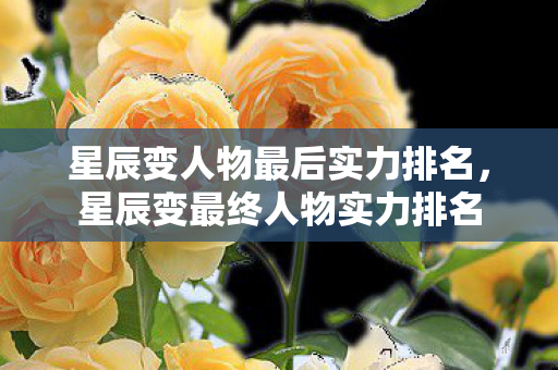 星辰变人物最后实力排名,星辰变最终人物实力排名 星辰变人物最后实力排名,星辰变最终人物实力排名
