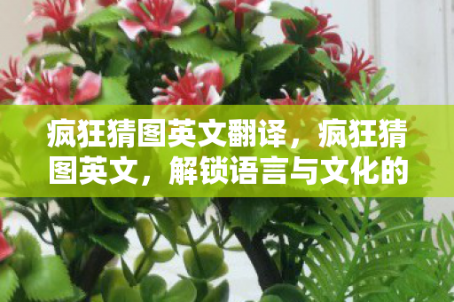 疯狂猜图英文翻译,疯狂猜图英文,解锁语言与文化的奇妙之旅 疯狂猜图英文翻译,疯狂猜图英文,解锁语言与文化的奇妙之旅