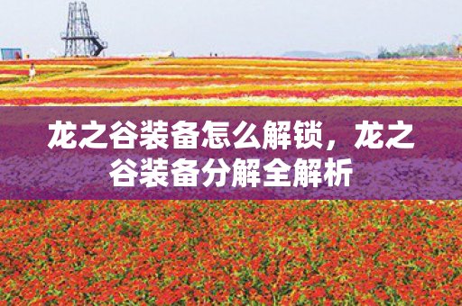 龙之谷装备怎么解锁,龙之谷装备分解全解析 龙之谷装备怎么解锁,龙之谷装备分解全解析
