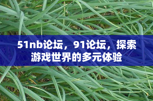 51nb论坛,91论坛,探索游戏世界的多元体验 51nb论坛,91论坛,探索游戏世界的多元体验