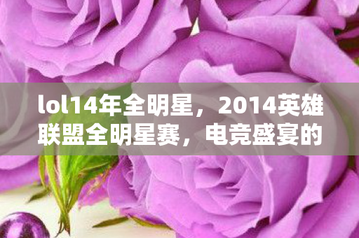 lol14年全明星,2014英雄联盟全明星赛,电竞盛宴的辉煌时刻 lol14年全明星,2014英雄联盟全明星赛,电竞盛宴的辉煌时刻
