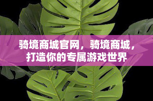 骑境商城官网,骑境商城,打造你的专属游戏世界 骑境商城官网,骑境商城,打造你的专属游戏世界