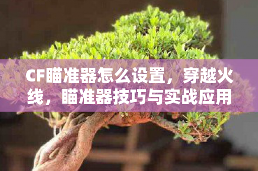 CF瞄准器怎么设置,穿越火线,瞄准器技巧与实战应用 CF瞄准器怎么设置,穿越火线,瞄准器技巧与实战应用