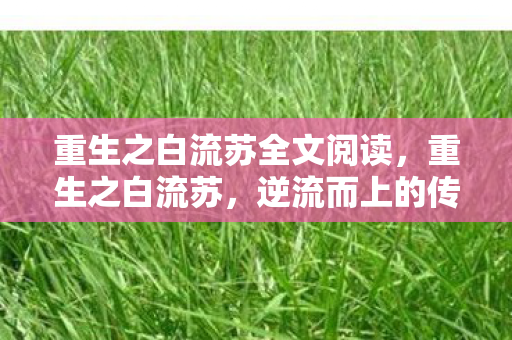 重生之白流苏全文阅读,重生之白流苏,逆流而上的传奇人生 重生之白流苏全文阅读,重生之白流苏,逆流而上的传奇人生