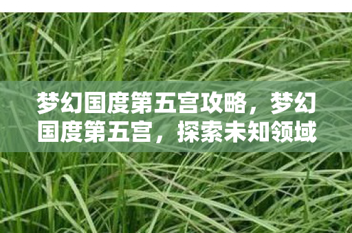 梦幻国度第五宫攻略,梦幻国度第五宫,探索未知领域的奇幻之旅 梦幻国度第五宫攻略,梦幻国度第五宫,探索未知领域的奇幻之旅