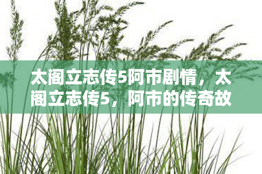 太阁立志传5阿市剧情,太阁立志传5,阿市的传奇故事 太阁立志传5阿市剧情,太阁立志传5,阿市的传奇故事