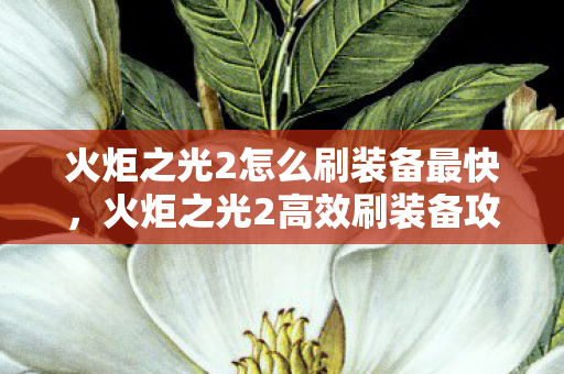 火炬之光2怎么刷装备最快,火炬之光2高效刷装备攻略 火炬之光2怎么刷装备最快,火炬之光2高效刷装备攻略