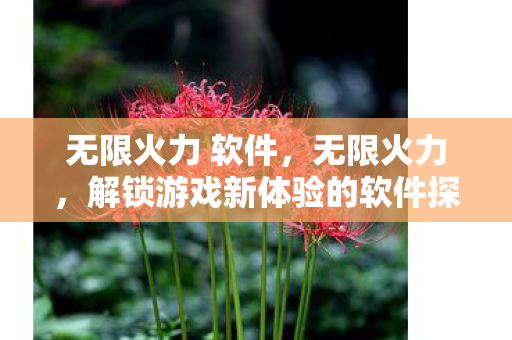 无限火力 软件,无限火力,解锁游戏新体验的软件探索 无限火力 软件,无限火力,解锁游戏新体验的软件探索