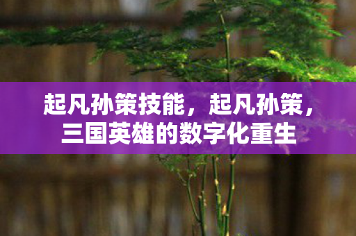 起凡孙策技能,起凡孙策,三国英雄的数字化重生 起凡孙策技能,起凡孙策,三国英雄的数字化重生