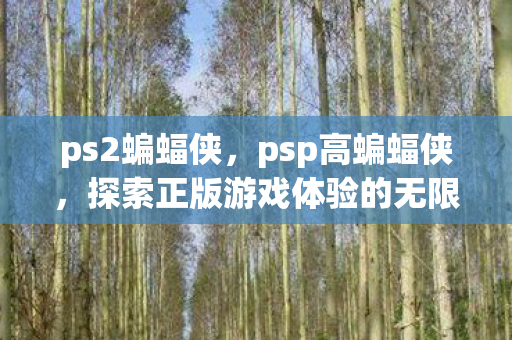 ps2蝙蝠侠,psp高蝙蝠侠,探索正版游戏体验的无限可能 ps2蝙蝠侠,psp高蝙蝠侠,探索正版游戏体验的无限可能