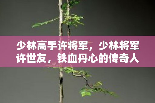 少林高手许将军,少林将军许世友,铁血丹心的传奇人生 少林高手许将军,少林将军许世友,铁血丹心的传奇人生