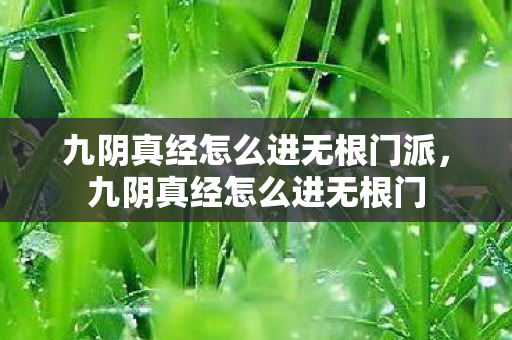 九阴真经怎么进无根门派，九阴真经怎么进无根门