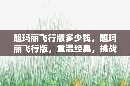 超玛丽飞行版多少钱,超玛丽飞行版,重温经典,挑战新高度 超玛丽飞行版多少钱,超玛丽飞行版,重温经典,挑战新高度