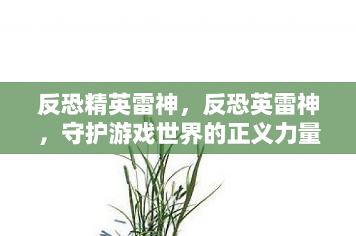 反恐精英雷神,反恐英雷神,守护游戏世界的正义力量 反恐精英雷神,反恐英雷神,守护游戏世界的正义力量
