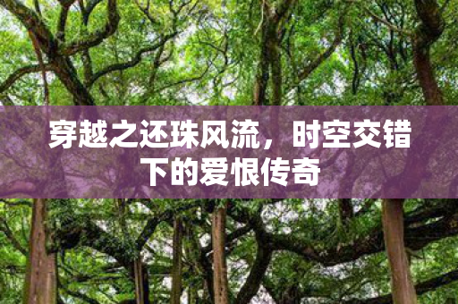 穿越之还珠风流,时空交错下的爱恨传奇 穿越之还珠风流,时空交错下的爱恨传奇
