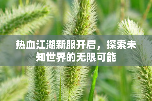 热血江湖新服开启,探索未知世界的无限可能 热血江湖新服开启,探索未知世界的无限可能