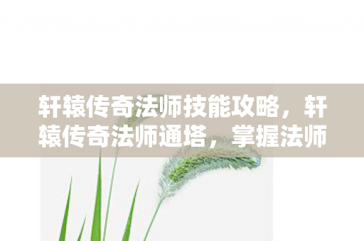 轩辕传奇法师技能攻略,轩辕传奇法师通塔,掌握法师职业的通关策略 轩辕传奇法师技能攻略,轩辕传奇法师通塔,掌握法师职业的通关策略