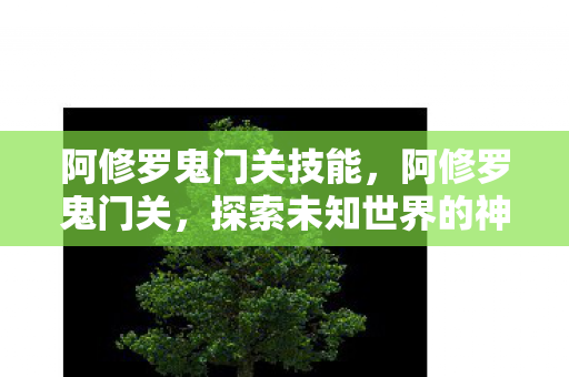 阿修罗鬼门关技能,阿修罗鬼门关,探索未知世界的神秘之旅 阿修罗鬼门关技能,阿修罗鬼门关,探索未知世界的神秘之旅
