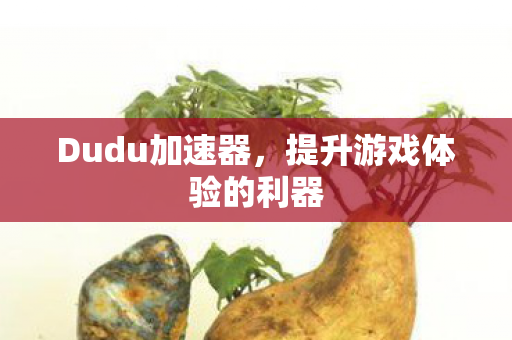 Dudu加速器,提升游戏体验的利器 Dudu加速器,提升游戏体验的利器