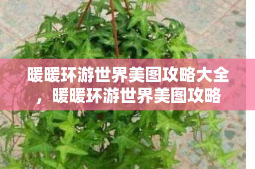 暖暖环游世界美图攻略大全,暖暖环游世界美图攻略 暖暖环游世界美图攻略大全,暖暖环游世界美图攻略