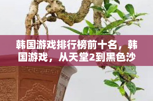 韩国游戏排行榜前十名,韩国游戏,从天堂2到黑色沙漠,探索韩国游戏的全球影响力 韩国游戏排行榜前十名,韩国游戏,从天堂2到黑色沙漠,探索韩国游戏的全球影响力