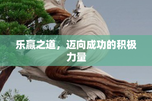 乐赢之道,迈向成功的积极力量 乐赢之道,迈向成功的积极力量