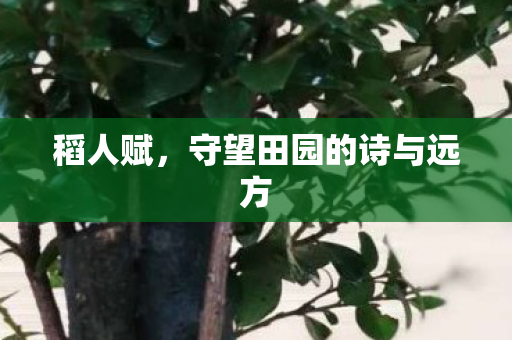 稻人赋,守望田园的诗与远方 稻人赋,守望田园的诗与远方