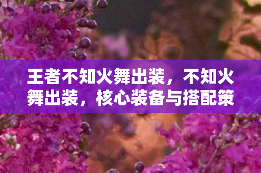 王者不知火舞出装，不知火舞出装，核心装备与搭配策略