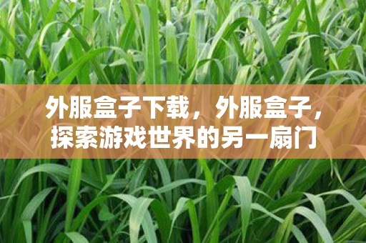 外服盒子下载，外服盒子，探索游戏世界的另一扇门