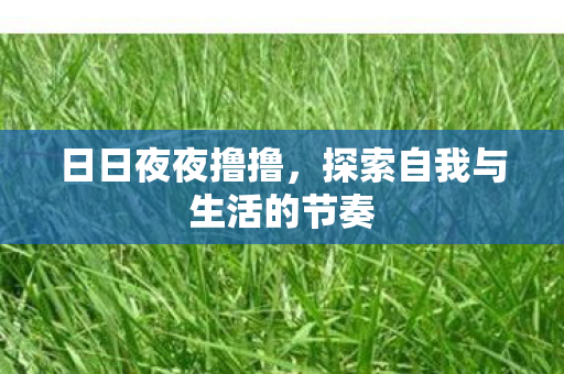 日日夜夜撸撸,探索自我与生活的节奏 日日夜夜撸撸,探索自我与生活的节奏