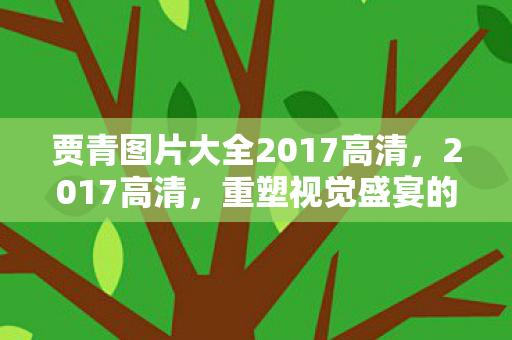 贾青图片大全2017高清，2017高清，重塑视觉盛宴的影视革命
