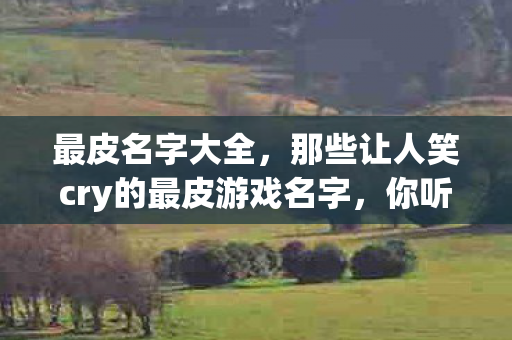 最皮名字大全,那些让人笑cry的最皮游戏名字,你听过几个? 最皮名字大全,那些让人笑cry的最皮游戏名字,你听过几个?