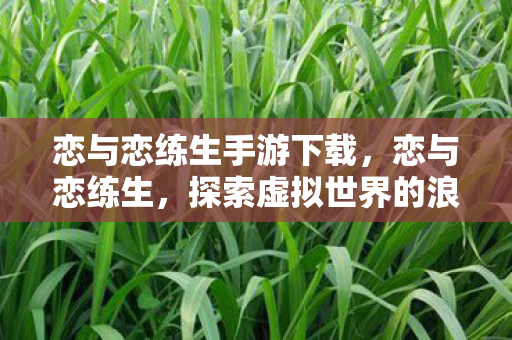 恋与恋练生手游下载，恋与恋练生，探索虚拟世界的浪漫之旅