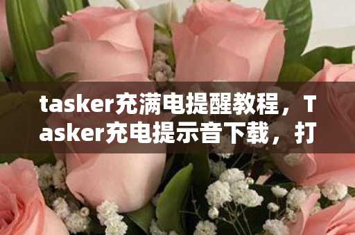 tasker充满电提醒教程,Tasker充电提示音下载,打造个性化充电体验 tasker充满电提醒教程,Tasker充电提示音下载,打造个性化充电体验