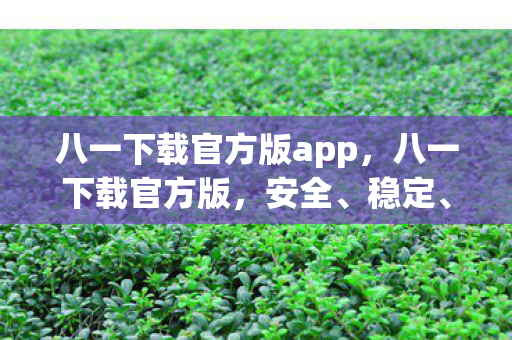 八一下载官方版app，八一下载官方版，安全、稳定、高效的下载体验