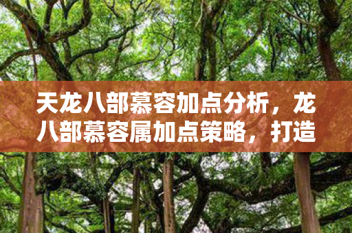 天龙八部慕容加点分析,龙八部慕容属加点策略,打造最强慕容角色 天龙八部慕容加点分析,龙八部慕容属加点策略,打造最强慕容角色