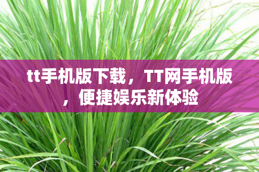 tt手机版下载,TT网手机版,便捷娱乐新体验 tt手机版下载,TT网手机版,便捷娱乐新体验