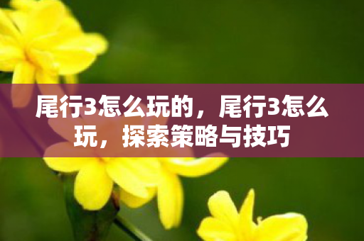 尾行3怎么玩的,尾行3怎么玩,探索策略与技巧 尾行3怎么玩的,尾行3怎么玩,探索策略与技巧