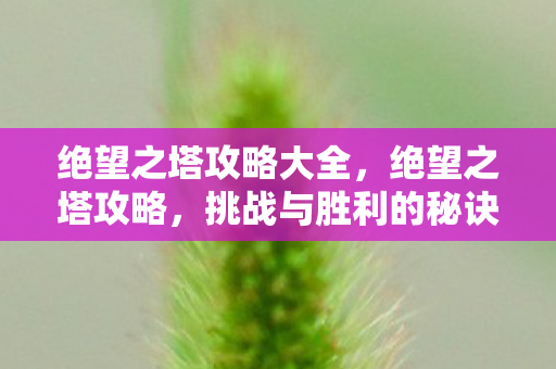 绝望之塔攻略大全,绝望之塔攻略,挑战与胜利的秘诀 绝望之塔攻略大全,绝望之塔攻略,挑战与胜利的秘诀