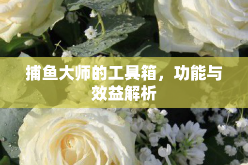 捕鱼大师的工具箱,功能与效益解析 捕鱼大师的工具箱,功能与效益解析