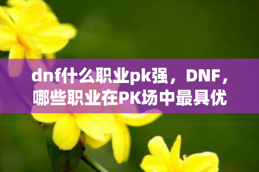 dnf什么职业pk强,DNF,哪些职业在PK场中最具优势 dnf什么职业pk强,DNF,哪些职业在PK场中最具优势