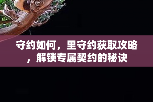 守约如何，里守约获取攻略，解锁专属契约的秘诀